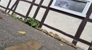 Gedenkstein als Tatwerkzeug? Fenster von jüdischem Haus im Kreis Paderborn eingeschlagen