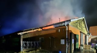 Kuhstall-Brand mit 100 Tieren gerät in Hille in Brand