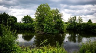 Entwarnung: Alligator-Video nicht aus Vechta