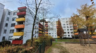 Verein in Gütersloh investiert 20 Millionen Euro in Großprojekt - 30 Bäume müssen weichen