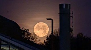 Spektakuläre Fotos: NW-Leser zeigen die schönsten Aufnahmen vom Supermond