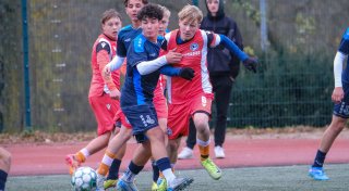 Arminias C-Jugend verliert gegen bissige Zebras