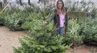 Mindenerin gibt Tipps: So bleibt der Weihnachtsbaum lange frisch