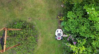 Gefahr für Tiere: Mähroboter mit Bedacht einsetzen