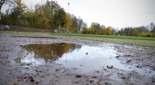 FC Löhne-Gohfeld möchte Stadion selbst pflegen - Warum diese Bitte auf Bedenken stößt