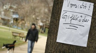 Achtung, Hundebesitzer! Warnung vor Giftködern am Monte Scherbelino in Paderborn