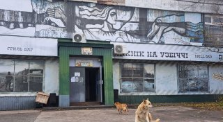 Rätsel um blaue Hunde in Tschernobyl ist gelöst