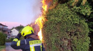Nach Unkraut-Abflammen: Hecke in Enger brennt lichterloh