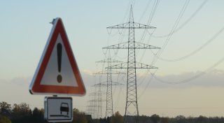 Umstrittener Netzausbau in Herford: Bäume fallen für Stromtrassen-Ausbau