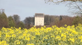 Anhaltende Dürre im Kreis Höxter: Jetzt drohen erste Ernteeinbußen