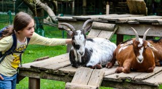 Großes Tierparkfest mit der NW am Samstag: Das sind die Highlights in Herford