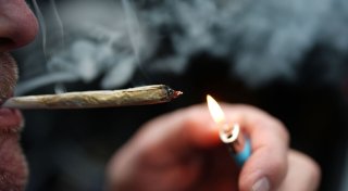 Umfrage: Keine Mehrheit für Rückkehr zu Cannabis-Verbot