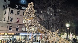 Reh und Wölfe leuchten nicht mehr: Vandalismus an Bielefelds Winterdeko