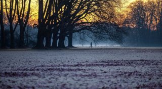 Zum Wochenstart bleibt es sonnig und frostig