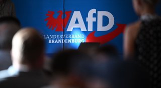 Brandenburger Verfassungsschutz setzt AfD-Hochstufung aus