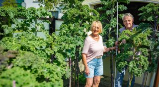 Bielefelder Paar lebt unter riesigen Grünkohl-Palmen in ihrem Garten