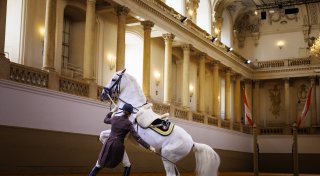 Paula Behrens aus Paderborn macht in der ältesten Reitschule der Welt Karriere