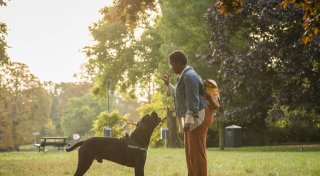 Erziehung von klein auf: Was muss mein Hund können?