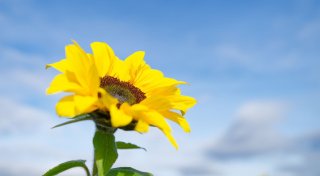 Bis zu 21 Grad am Donnerstag