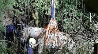 Feuerwehr rettet Pferd aus Bachlauf im Kreis Lippe