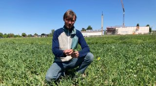 Extremer Wassermangel trifft im Kreis Herford Landwirte, Wald und Tiere