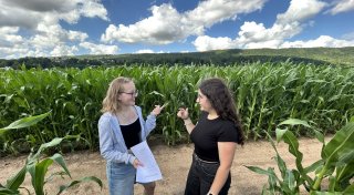 Mais-Labyrinth in Bad Oeynhausen: Neues Abenteuer für die Sommerferien startet