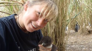 Bielefelder Auswanderin reist als Pinguinforscherin um die Welt