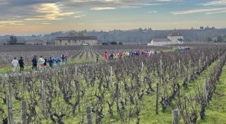 Kostümierte Salzkottener laufen in Frankreich durch die Weinberge