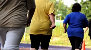 Experten: Adipositas muss anders definiert werden