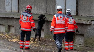 Wo ist Fabian? Angestrengte Suche nach Achtjährigem