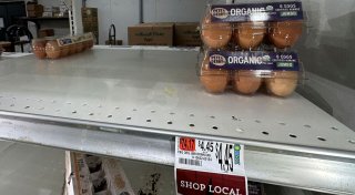 Ostern in den USA - Eier oder Kartoffeln färben?