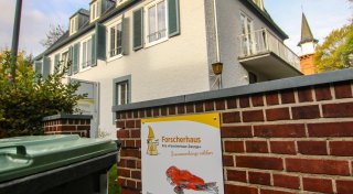 Giftige Pflanzen: Bürger sorgt sich um Herforder Kita-Kinder