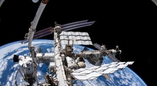 Tiere vom All aus im Blick - Projekt «Icarus» startet neu