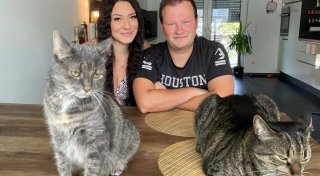 Zehntausende Follower: Katzen aus Kirchlengern sind Stars auf Instagram und TikTok