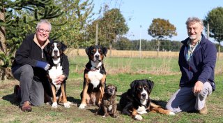 Diese besondere Hundeschule in Minden-Lübbecke bildet Therapiehunde aus