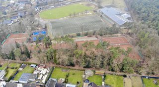 Fast 200 Bäume müssen in Hövelhof gefällt werden