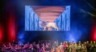 Karten für das Musical „Der König der Löwen“ zu gewinnen