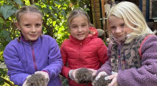 Grundschülerinnen in Warburg helfen Igeln durch den Winter zu kommen
