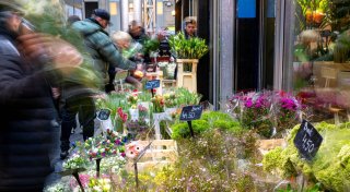 Warum riechen alle Blumenläden gleich und sind Rosen super?