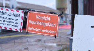 Bauern beklagen schwere wirtschaftliche Schäden durch Seuche