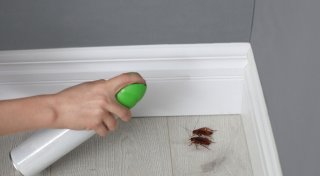 Paderborner Verbraucherzentrale testet Insektenspray-Beratung