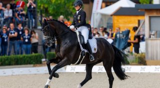Werth scheitert am 10. Einzel-Gold bei Dressur-EM
