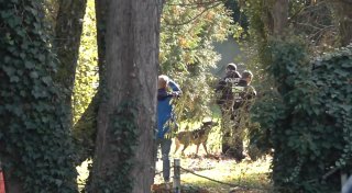 Spürhunde und Bagger - Suche im Fall Rebecca in Brandenburg