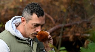 Trendhobby Pilzesammeln: Der Wald als «bullshitfreie Zone»