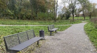 Drei Optionen im Gespräch: Politik entscheidet über Asphaltwege im Werreauenpark in Löhne