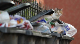 Ausgefallene Müllabfuhr in Bielefeld wird nicht nachgeholt: So werden Sie Ihren Abfall los