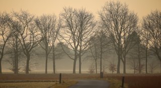 Etliche Millionen Menschen leiden bei Sand- und Staubstürmen