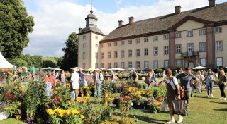 Für Familien: 200 Gärten und Parks in der Region am Wochenende geöffnet