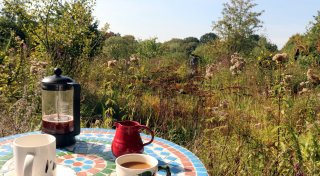 Paradies zwischen Enger und Bünde: Tipps für den Garten im Herbst