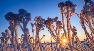 Minus 19,7 Grad im Erzgebirge gemessen